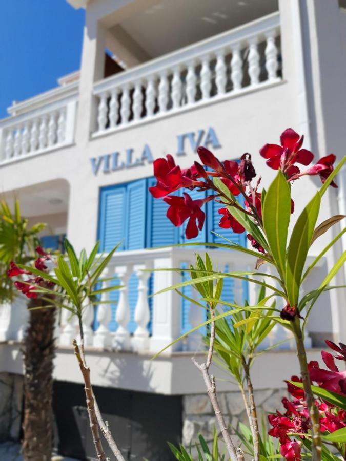 Apartments Villa Iva Ravni Zewnętrze zdjęcie